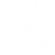 SkinMason